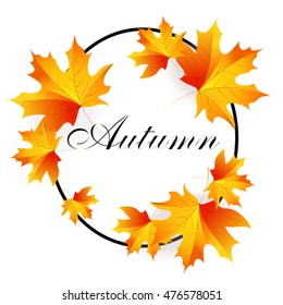 Autumn with yellow autumn maple leaves