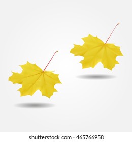 Autumn yellow maple-leaf low and high resolution triangle mesh realistic vector eps10