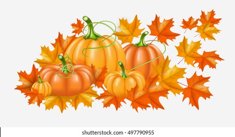 Autumn yellow, orange Pumpkins and Bright fall leaves on white background. Vector illustration for poster, card, label, banner. Thanksgiving Day background.