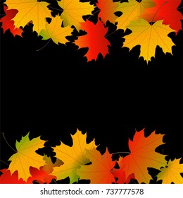 Autumn yellow, orange, red maple leaves background in vector. Nature colors of autumn falling leaves on black for banner, ticket, leaflet, card, poster. Autumn botany landscape.