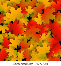 Autumn yellow, orange, red maple leaves background in vector. Nature colors of autumn falling leaves on black for banner, ticket, leaflet, card, poster. Autumn botany landscape.