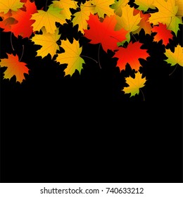 Autumn yellow, orange, red maple leaves background in vector. Nature colors of autumn. Falling colored leaves on black for banner, ticket, leaflet, card, poster. 