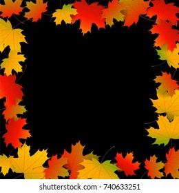 Autumn yellow, orange, red maple leaves background in vector. Nature colors of autumn. Falling colored leaves on black for banner, ticket, leaflet, card, poster. 