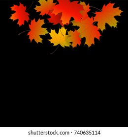 Autumn yellow, orange, red maple leaves background in vector. Nature colors of autumn. Falling colored leaves on black for banner, ticket, leaflet, card, poster. Autumn botany landscape.