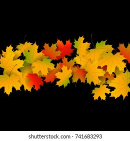 Autumn yellow, orange, red maple leaves background in vector. Nature colors of autumn. Falling colored leaves on black for banner, ticket, leaflet, card, poster. Autumn botany landscape.