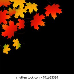 Autumn yellow, orange, red maple leaves background in vector. Nature colors of autumn. Falling colored leaves on black for banner, ticket, leaflet, card, poster. Autumn botany landscape.