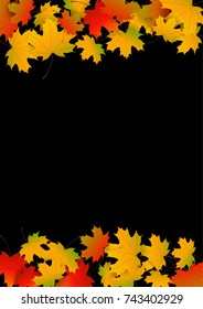 Autumn yellow, orange, red maple leaves background in vector. Nature colors of autumn. Falling colored leaves on black for banner, ticket, leaflet, card, poster. Autumn botany landscape.