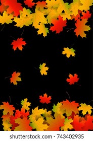 Autumn yellow, orange, red maple leaves background in vector. Nature colors of autumn. Falling colored leaves on black for banner, ticket, leaflet, card, poster. Autumn botany landscape.