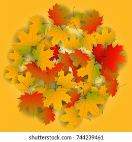 Autumn yellow, orange, red maple leaves background in vector. Nature colors of autumn. Falling colored leaves on white for banner, poster, leaflet, card, poster. Autumn botany landscape. Thanksgiving.