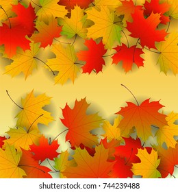 Autumn yellow, orange, red maple leaves background in vector. Nature colors of autumn. Falling colored leaves on white for banner, poster, leaflet, card, poster. Autumn botany landscape. Thanksgiving.