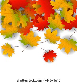 Autumn yellow, orange, red maple leaves background in vector. Nature colors of autumn. Falling colored leaves on white for banner, poster, leaflet, card, poster. Autumn botany landscape. Autumn fall.