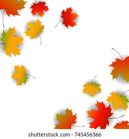 Autumn yellow, orange, red maple leaves background in vector. Nature colors of autumn. Falling colored leaves on white for banner, poster, leaflet, card, poster. Autumn botany landscape. Autumn fall.