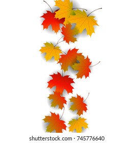 Autumn yellow, orange, red maple leaves background in vector. Nature colors of autumn. Falling colored leaves on white for banner, poster, leaflet, card, poster. Autumn botany landscape. Autumn fall.