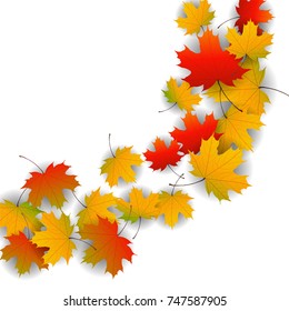 Autumn yellow, orange, red maple leaves background in vector. Nature colors of autumn. Falling colored leaves on white for banner, poster, leaflet, card, poster.