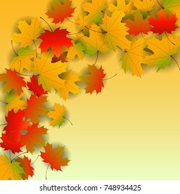 Autumn yellow, orange, red maple leaves background in vector. Nature colors of autumn. Falling colored leaves on white for banner, poster, leaflet, card, poster. Autumn botany landscape. Autumn fall.