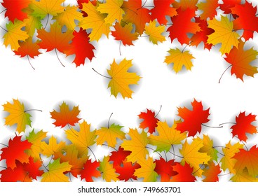 Autumn yellow, orange, red maple leaves background in vector. Nature colors of autumn. Falling colored leaves on white for banner, poster, leaflet, card, poster. Autumn botany landscape. Autumn fall.