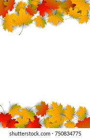 Autumn yellow, orange, red maple leaves background in vector. Nature colors of autumn. Falling colored leaves on white for banner, poster, leaflet, card, poster. Autumn botany landscape. Autumn fall.