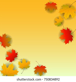 Autumn yellow, orange, red maple leaves background in vector. Nature colors of autumn. Falling colored leaves on white for banner, poster, leaflet, card, poster. Autumn botany landscape. Autumn fall.