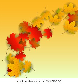 Autumn yellow, orange, red maple leaves background in vector. Nature colors of autumn. Falling colored leaves on white for banner, poster, leaflet, card, poster. Autumn botany landscape. Autumn fall.
