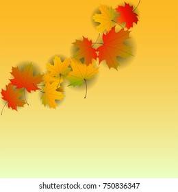 Autumn yellow, orange, red maple leaves background in vector. Nature colors of autumn. Falling colored leaves on white for banner, poster, leaflet, card, poster. Autumn botany landscape. Autumn fall.
