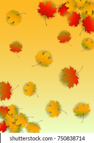 Autumn yellow, orange, red maple leaves background in vector. Nature colors of autumn. Falling colored leaves on white for banner, poster, leaflet, card, poster. Autumn botany landscape. Autumn fall.