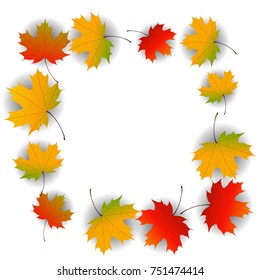Autumn yellow, orange, red maple leaves background in vector. Nature colors of autumn. Falling colored leaves on white for banner, poster, leaflet, card, poster. Autumn botany landscape. Autumn fall.