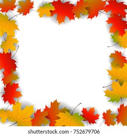 Autumn yellow, orange, red maple leaves background in vector. Nature colors of autumn. Falling colored leaves on white for banner, poster, leaflet, card, poster. Autumn botany landscape. Autumn fall.