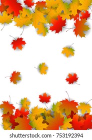 Autumn yellow, orange, red maple leaves background in vector. Nature colors of autumn. Falling colored leaves on white for banner, poster, leaflet, card, poster. Autumn botany landscape. Autumn fall.