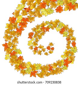 Autumn yellow red maple leaves whirling in a whirlwind. Hand-drawn vector colored illustration on a white background.