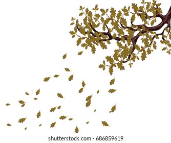 In autumn, a yellowed branch of a large oak tree with acorns. Flying leaves. Flyer, invitation card or business card. Isolated on white background. Vector illustration