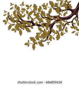 In autumn, a yellowed branch of a large oak tree with acorns. Volumetric drawing without a grid and a gradient. Isolated on white background. Vector illustration