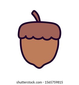 autumnal acorn nut on white background vector illustration