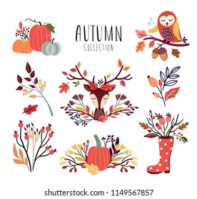 Autumnal arrangements collection with seasonal bouquets, pumpkin, deer head, autumnal branches, isolated on white