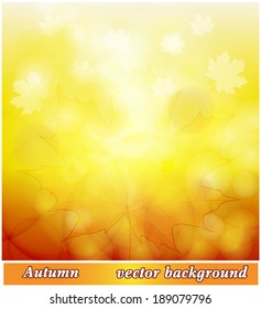 Autumnal background