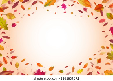 Autumnal background. Autumn falling yellow leaves. Nature season vector backdrop. Autumn fall nature, banner illustration