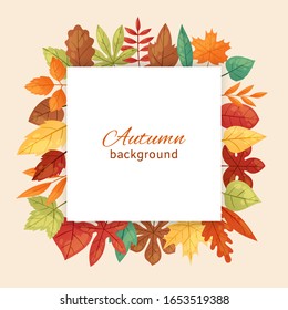 Autumnal background with autumn maple leaves fall season greeting card, poster, flyer vector illustration. Autumn leaves frame isolated on a white background with lettering.