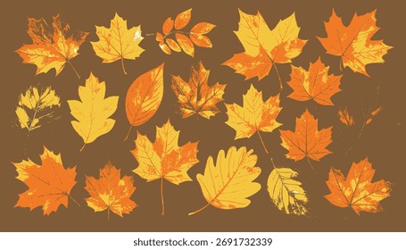 Fondo otoñal de diferentes Formas de hojas de árboles de otoño en diferentes colores de tonos amarillos a naranjas y marrones.