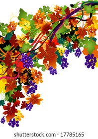 fondo otoñal con uvas