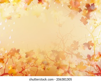 Autumnal Background with maple leaves. 