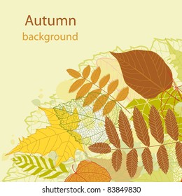 Autumnal background (vector eps 8)