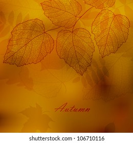 Autumnal background with your text (vector eps 10)