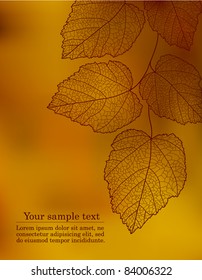 Autumnal background with your text (vector eps 10)