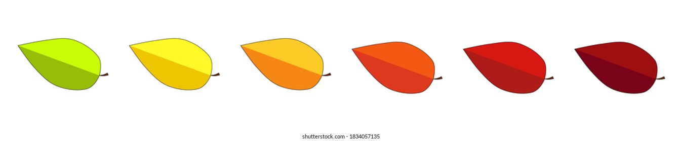 Autumnal border with colorful leaf collection. Leaves divider for Autumn design. Fall or thanksgiving vector leafage line. Eps 10 Illustration pattern.  Seasonal colored leafage template.