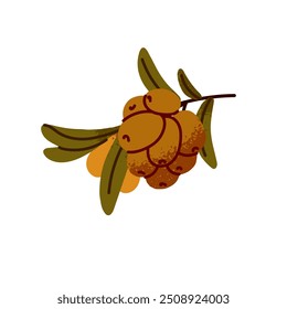 Icône branche automnale d'argousier. Brindille d'arbre fruitier avec baies dans le style dessiné à la main. Feuillage d'automne, petites feuilles au printemps. La saison automnale. Illustration vectorielle à plat isolée sur fond blanc