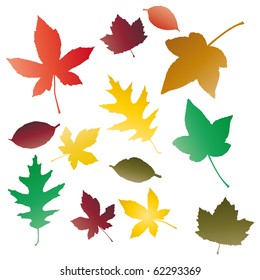 Autumnal concept background, vector leaves.