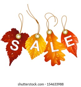 Autumnal discount. Vector fall leaf isolated on white background