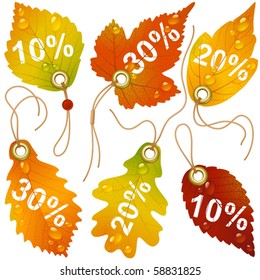 Autumnal discount. Vector fall leaves