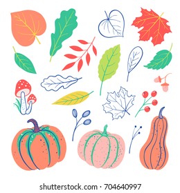 Autumnal Doodles Elements Set Pumpkin Leaves Stock Vector (Royalty Free ...