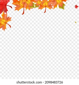 Vector transparente de fondo floral otoñal. Sale de la tarjeta de octubre. Colorido Foliage Forestal. Hermosa textura de hojas.
