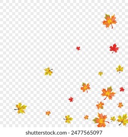 Autumnal Floral Background Transparent Vector. Leaves Pattern Template. Ocher November Leaf. Collection Plant Card.